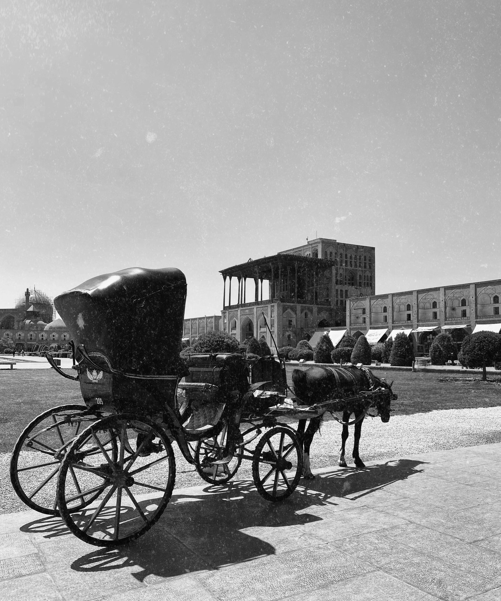 horse in Naghshe Jahan square