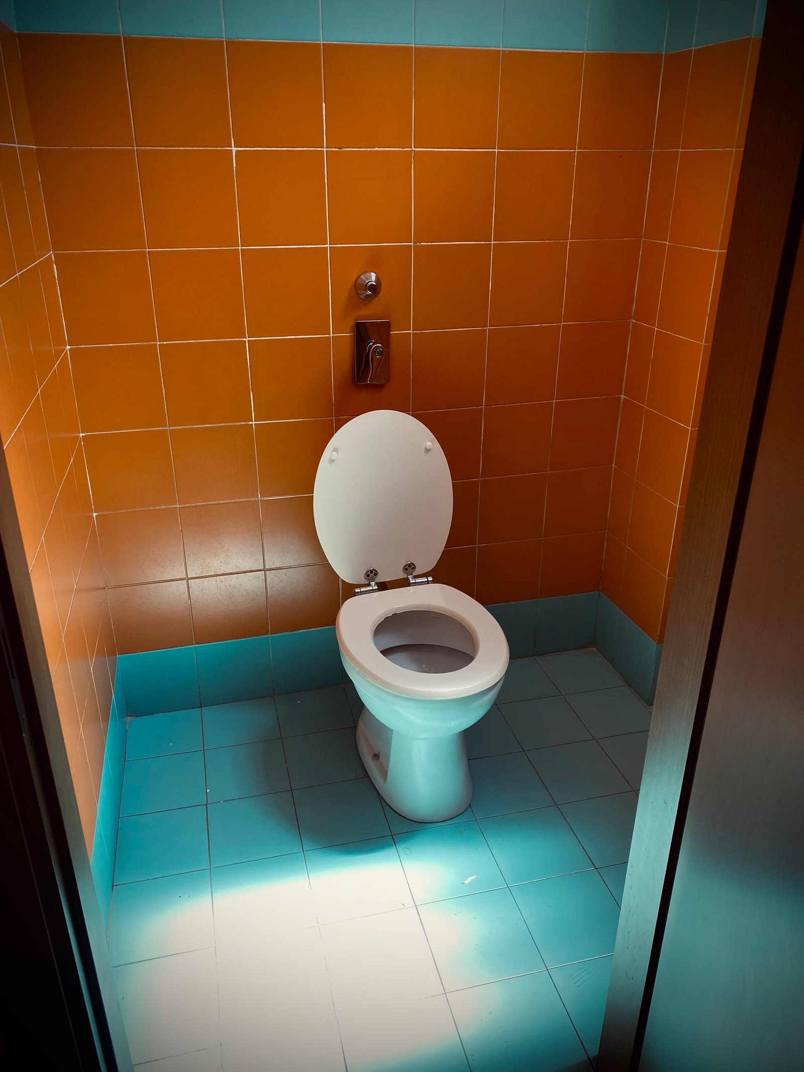 a toilet seat with orange tiles o the bathroom